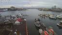 ./images/victoria/wharf/20191230/wharf20191230_115458.jpg