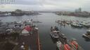./images/victoria/wharf/20191230/wharf20191230_120454.jpg