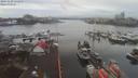 ./images/victoria/wharf/20191230/wharf20191230_120956.jpg