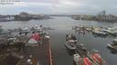 ./images/victoria/wharf/20191230/wharf20191230_121449.jpg