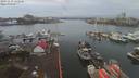 ./images/victoria/wharf/20191230/wharf20191230_121952.jpg