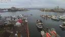 ./images/victoria/wharf/20191230/wharf20191230_122455.jpg