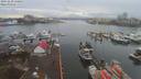 ./images/victoria/wharf/20191230/wharf20191230_130950.jpg