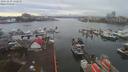 ./images/victoria/wharf/20191230/wharf20191230_132952.jpg