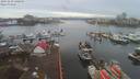 ./images/victoria/wharf/20191230/wharf20191230_140451.jpg