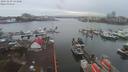 ./images/victoria/wharf/20191230/wharf20191230_141458.jpg
