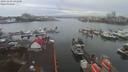 ./images/victoria/wharf/20191230/wharf20191230_142453.jpg