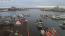 ./images/victoria/wharf/20191230/wharf20191230_145954.jpg