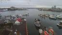./images/victoria/wharf/20191230/wharf20191230_150949.jpg