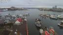 ./images/victoria/wharf/20191230/wharf20191230_151452.jpg