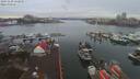 ./images/victoria/wharf/20191230/wharf20191230_152951.jpg