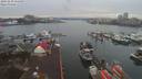 ./images/victoria/wharf/20191230/wharf20191230_155455.jpg
