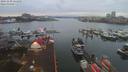 ./images/victoria/wharf/20191230/wharf20191230_160954.jpg