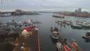 ./images/victoria/wharf/20191230/wharf20191230_161456.jpg