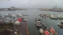 ./images/victoria/wharf/20191231/wharf20191231_092957.jpg