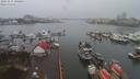 ./images/victoria/wharf/20191231/wharf20191231_095953.jpg
