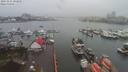 ./images/victoria/wharf/20191231/wharf20191231_101954.jpg