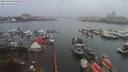 ./images/victoria/wharf/20191231/wharf20191231_102457.jpg