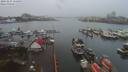 ./images/victoria/wharf/20191231/wharf20191231_114453.jpg