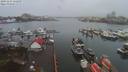 ./images/victoria/wharf/20191231/wharf20191231_122456.jpg