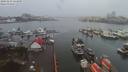 ./images/victoria/wharf/20191231/wharf20191231_124458.jpg
