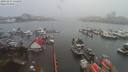 ./images/victoria/wharf/20191231/wharf20191231_134453.jpg