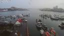 ./images/victoria/wharf/20191231/wharf20191231_151456.jpg