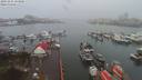 ./images/victoria/wharf/20191231/wharf20191231_154454.jpg