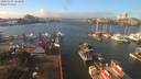 ./images/victoria/wharf/20200101/wharf20200101_123952.jpg