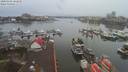 ./images/victoria/wharf/20200102/wharf20200102_100959.jpg