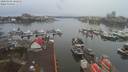 ./images/victoria/wharf/20200102/wharf20200102_101451.jpg