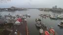 ./images/victoria/wharf/20200102/wharf20200102_102950.jpg