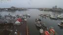 ./images/victoria/wharf/20200102/wharf20200102_104449.jpg