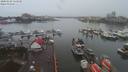 ./images/victoria/wharf/20200102/wharf20200102_113950.jpg