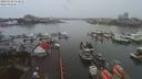 ./images/victoria/wharf/20200102/wharf20200102_114453.jpg