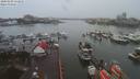 ./images/victoria/wharf/20200102/wharf20200102_114955.jpg