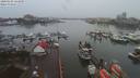 ./images/victoria/wharf/20200102/wharf20200102_121449.jpg