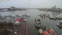 ./images/victoria/wharf/20200102/wharf20200102_124457.jpg