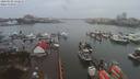 ./images/victoria/wharf/20200102/wharf20200102_131454.jpg
