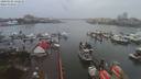 ./images/victoria/wharf/20200102/wharf20200102_131957.jpg