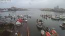 ./images/victoria/wharf/20200102/wharf20200102_132952.jpg