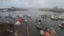 ./images/victoria/wharf/20200102/wharf20200102_133958.jpg