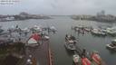 ./images/victoria/wharf/20200102/wharf20200102_134954.jpg