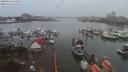 ./images/victoria/wharf/20200102/wharf20200102_135457.jpg