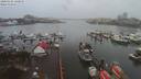 ./images/victoria/wharf/20200102/wharf20200102_135959.jpg
