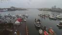 ./images/victoria/wharf/20200102/wharf20200102_140955.jpg