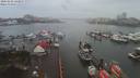 ./images/victoria/wharf/20200102/wharf20200102_142957.jpg