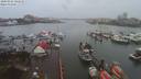 ./images/victoria/wharf/20200102/wharf20200102_145451.jpg