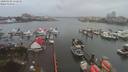 ./images/victoria/wharf/20200102/wharf20200102_152457.jpg