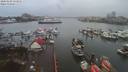 ./images/victoria/wharf/20200102/wharf20200102_152950.jpg